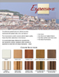 Expressions Flyer (LN407)