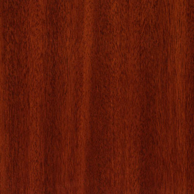 Cashew Mahogany