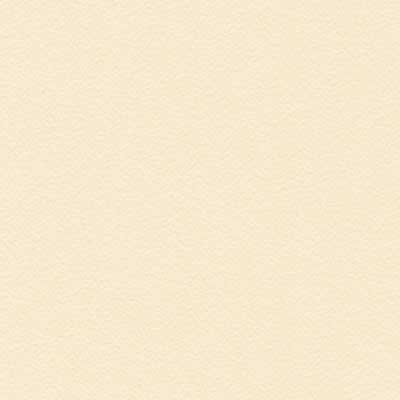 Formica Almond 920-58