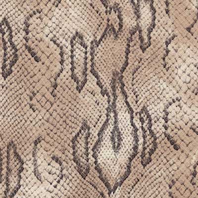 Leather Snake Python (SS102)