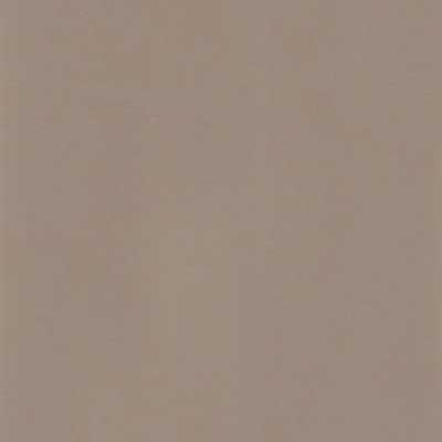 Solid Nordic Gray (SS111)