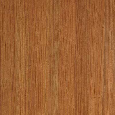 Burma Cherry (SS20)