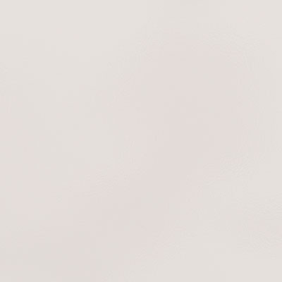 Light Grey HG (SS224)