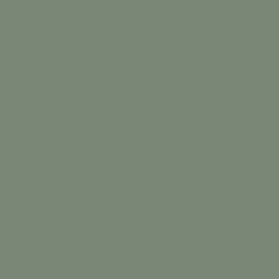 Light Green Supermatte (SS254)