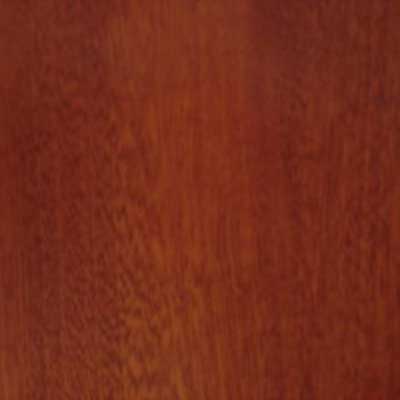 Mahogany PA (SS46)