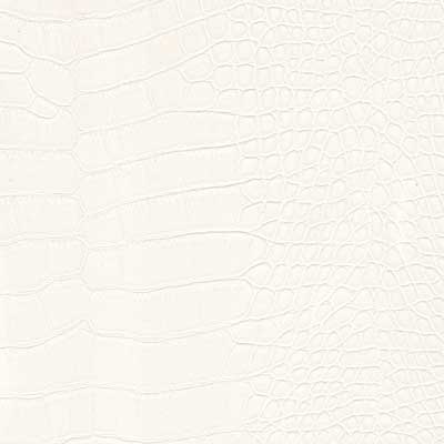 Leather White Alligator (SS90)