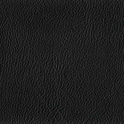 Black Leather (SS91)