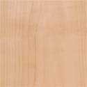 White Birch