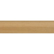 Shoe Molding